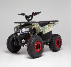 Квадроцикл ATV WELS Thunder E2